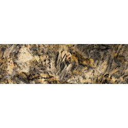 Vivite privilège Musée...